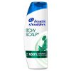 Head & Shoulders Itchy Scalp Care Anti Dandruff Shampoo